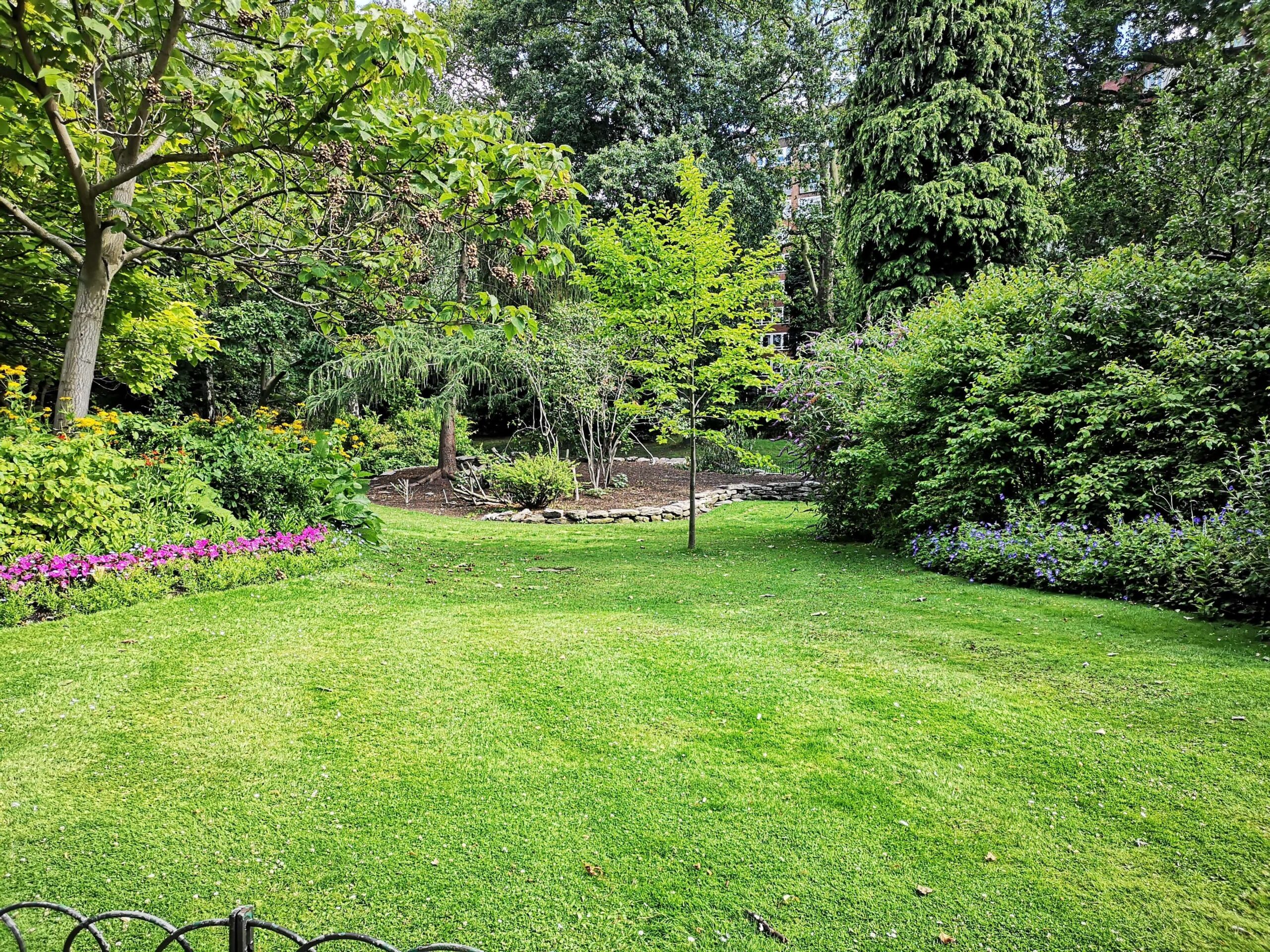 Bild på grönskande trädgård